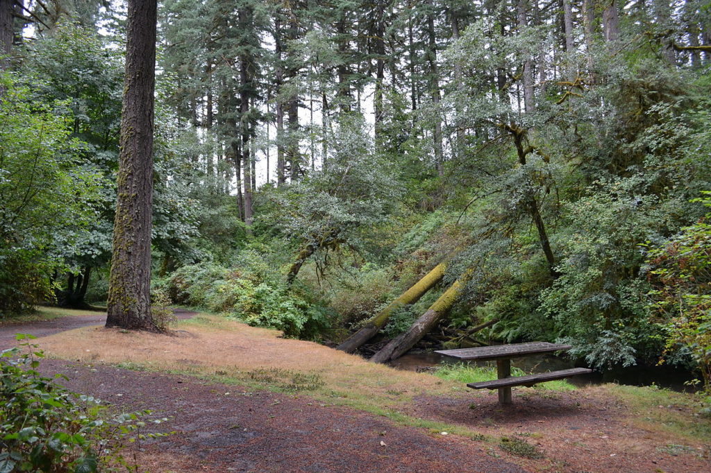 Fotografía del parque " Alderwood State Park" en Oregon